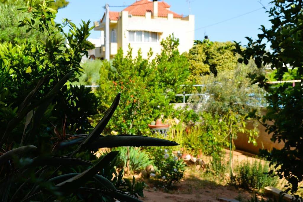Sissy'S Relaxing Villa Artemida  Exterior photo